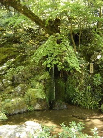 Kyoto Ginkaku ji 06